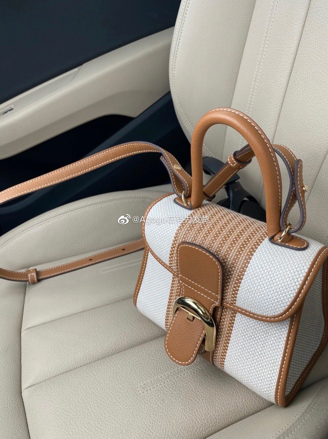 델보 브리앙 PM 토트백 미니